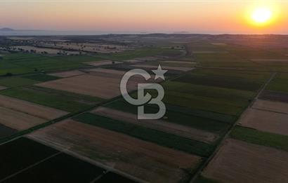 Çanakkale Ezine Mahmudiye Satılık 8.692 M² Tarla!
