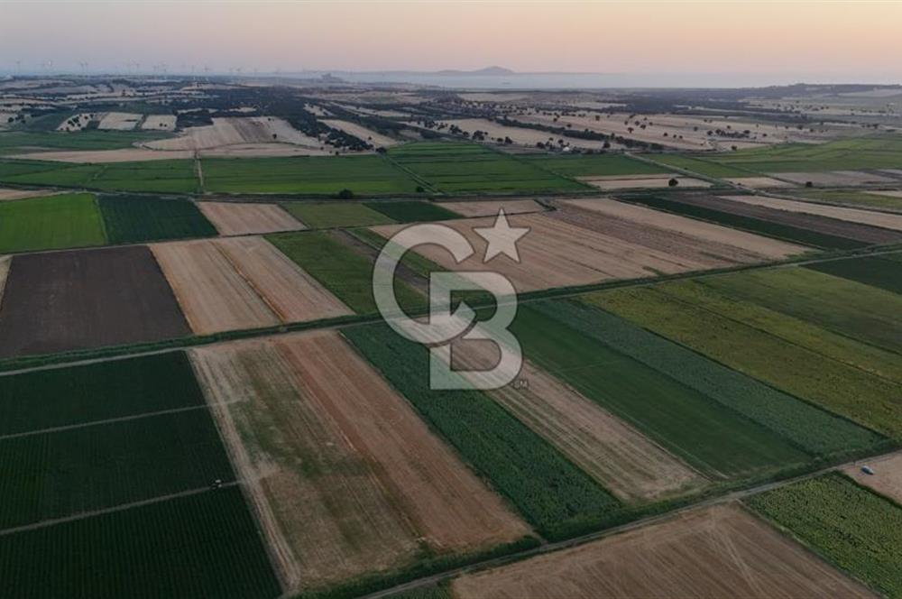 Çanakkale Ezine Mahmudiye Satılık 8.692 M² Tarla!