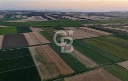 Çanakkale Ezine Mahmudiye Satılık 8.692 M² Tarla!