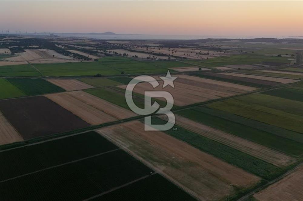 Çanakkale Ezine Mahmudiye Satılık 8.692 M² Tarla!
