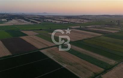 Çanakkale Ezine Mahmudiye Satılık 8.692 M² Tarla!