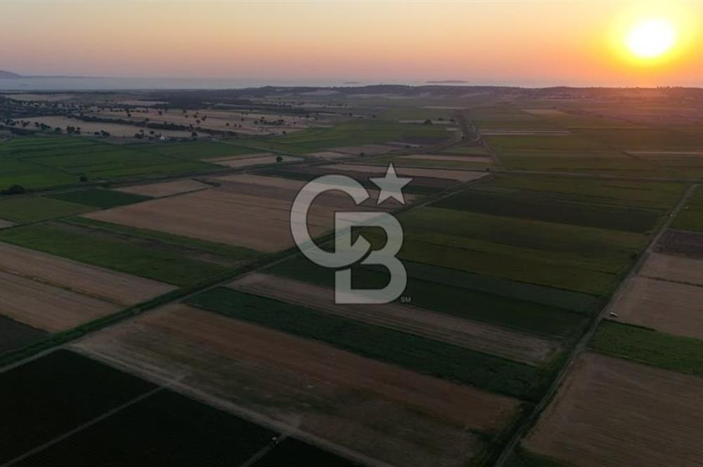 Çanakkale Ezine Mahmudiye Satılık 8.692 M² Tarla!