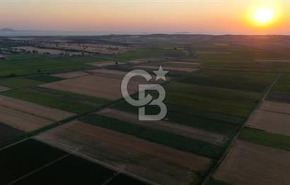 Çanakkale Ezine Mahmudiye Satılık 8.692 M² Tarla!