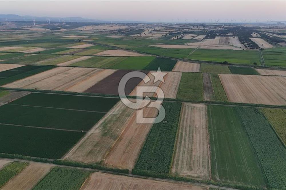 Çanakkale Ezine Mahmudiye Satılık 8.692 M² Tarla!