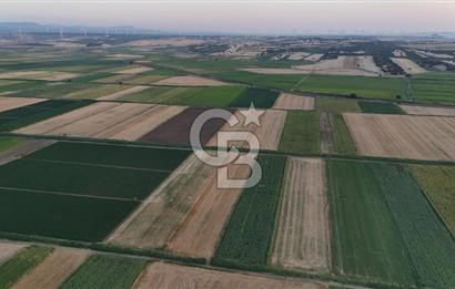 Çanakkale Ezine Mahmudiye Satılık 8.692 M² Tarla!