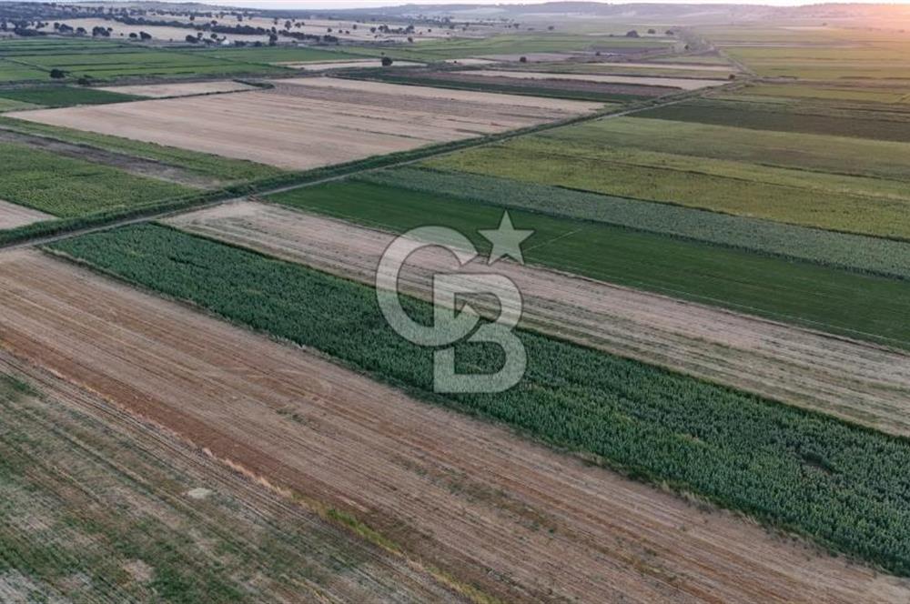Çanakkale Ezine Mahmudiye Satılık 8.692 M² Tarla!