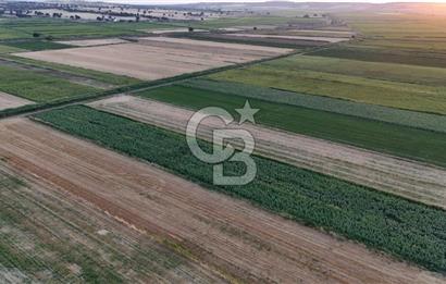 Çanakkale Ezine Mahmudiye Satılık 8.692 M² Tarla!
