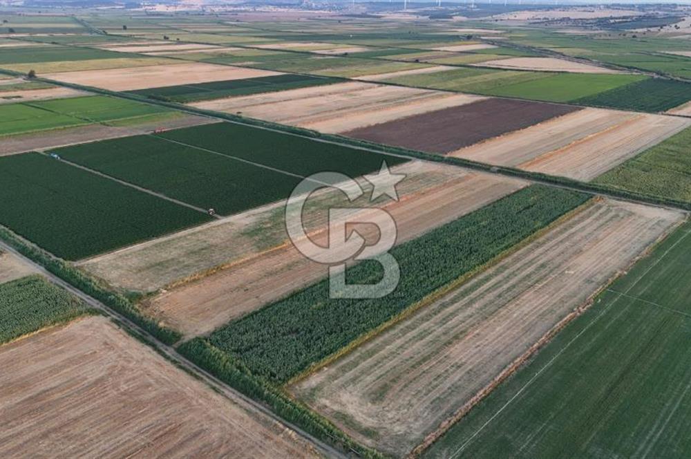 Çanakkale Ezine Mahmudiye Satılık 8.692 M² Tarla!