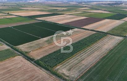 Çanakkale Ezine Mahmudiye Satılık 8.692 M² Tarla!
