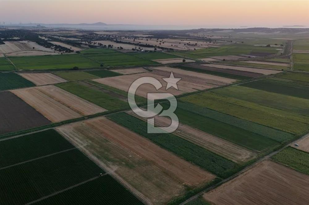 Çanakkale Ezine Mahmudiye Satılık 8.692 M² Tarla!