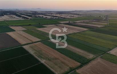 Çanakkale Ezine Mahmudiye Satılık 8.692 M² Tarla!