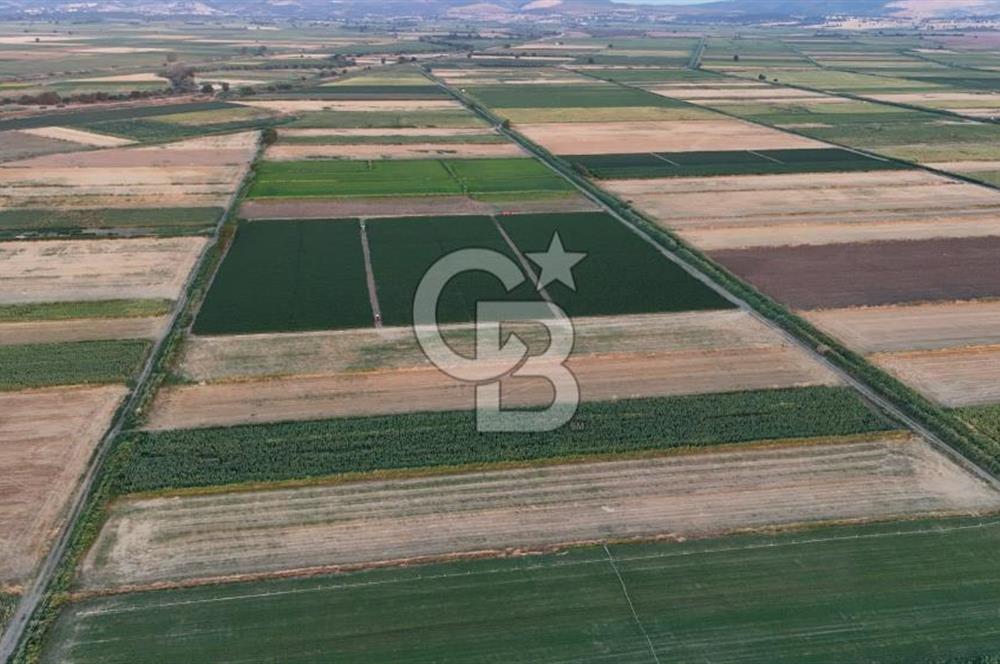 Çanakkale Ezine Mahmudiye Satılık 8.692 M² Tarla!