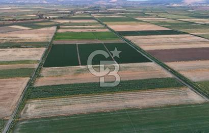 Çanakkale Ezine Mahmudiye Satılık 8.692 M² Tarla!