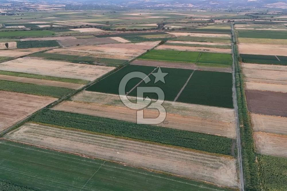 Çanakkale Ezine Mahmudiye Satılık 8.692 M² Tarla!