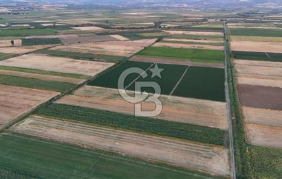 Çanakkale Ezine Mahmudiye Satılık 8.692 M² Tarla!