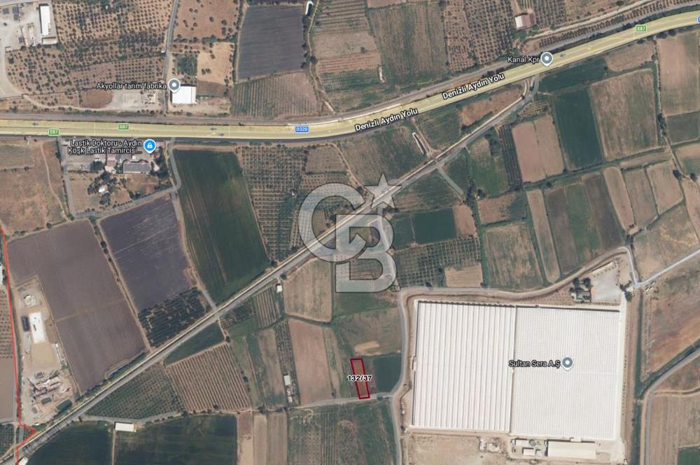 Aydın Köşk Yavuzköy de satılık tarla