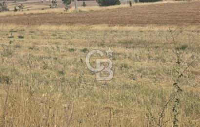 GÖLBAŞI HACILAR'DA YATIRIMA UYGUN FIRSAT VİLLA ARSASI