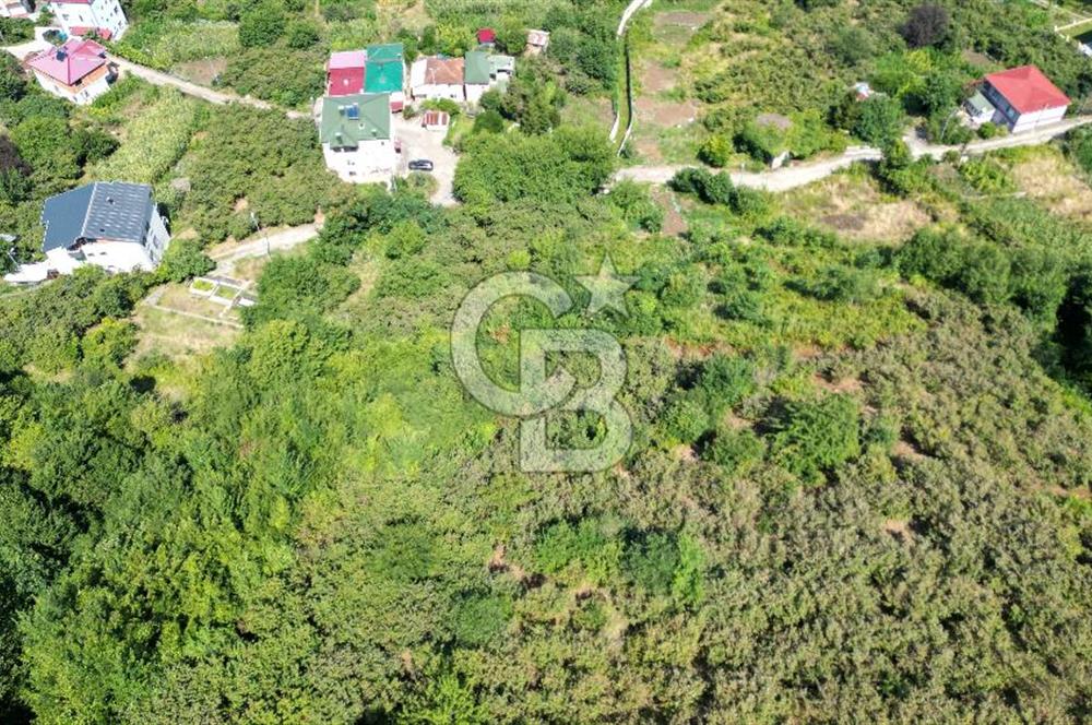 CB LİKA'DAN ÇARŞIBAŞI MAH. DENİZ MANZARALI SATILIK ARSA