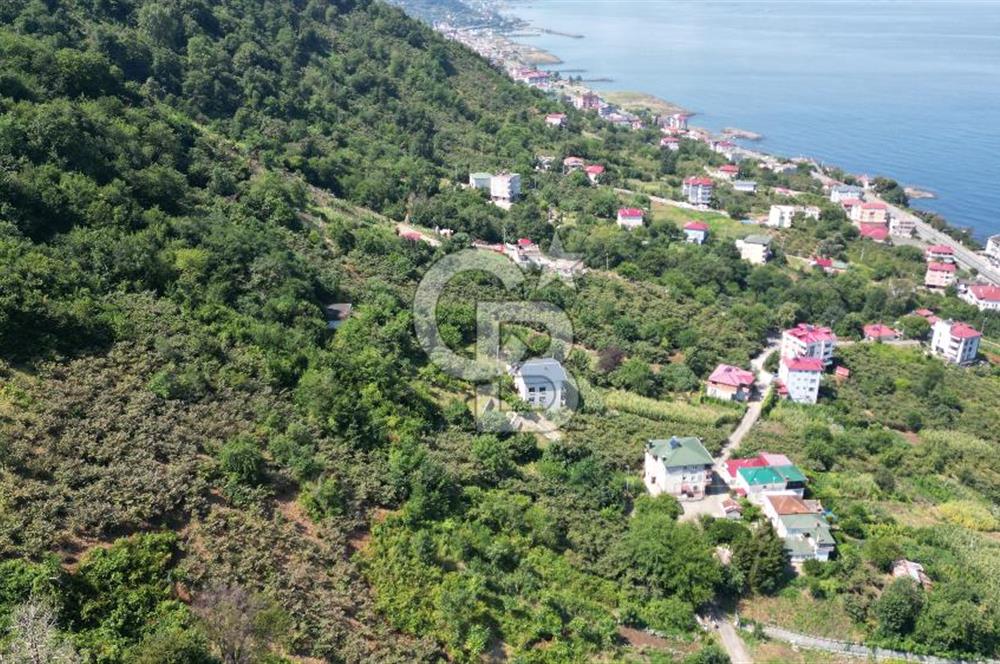 CB LİKA'DAN ÇARŞIBAŞI MAH. DENİZ MANZARALI SATILIK ARSA