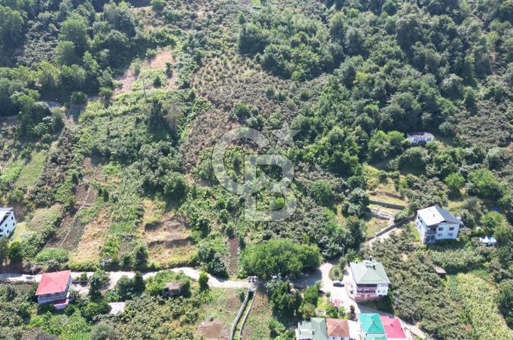 CB LİKA'DAN ÇARŞIBAŞI MAH. DENİZ MANZARALI SATILIK ARSA