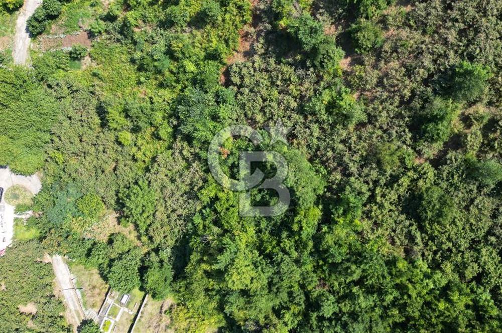 CB LİKA'DAN ÇARŞIBAŞI MAH. DENİZ MANZARALI SATILIK ARSA