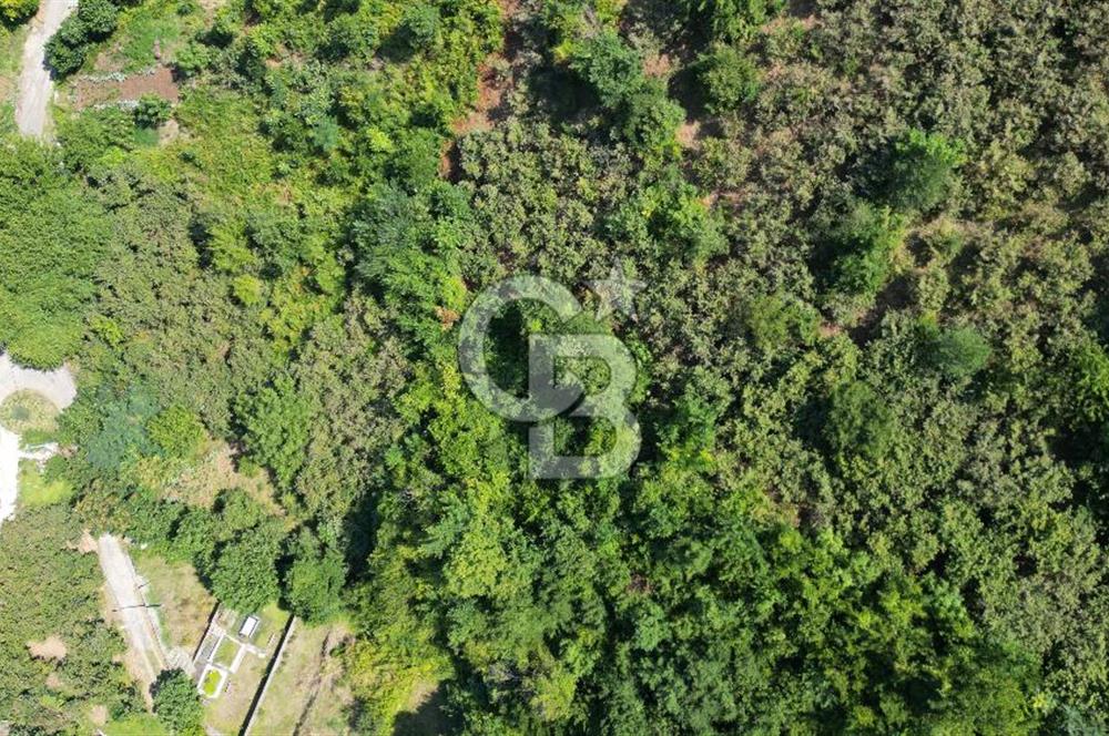 CB LİKA'DAN ÇARŞIBAŞI MAH. DENİZ MANZARALI SATILIK ARSA