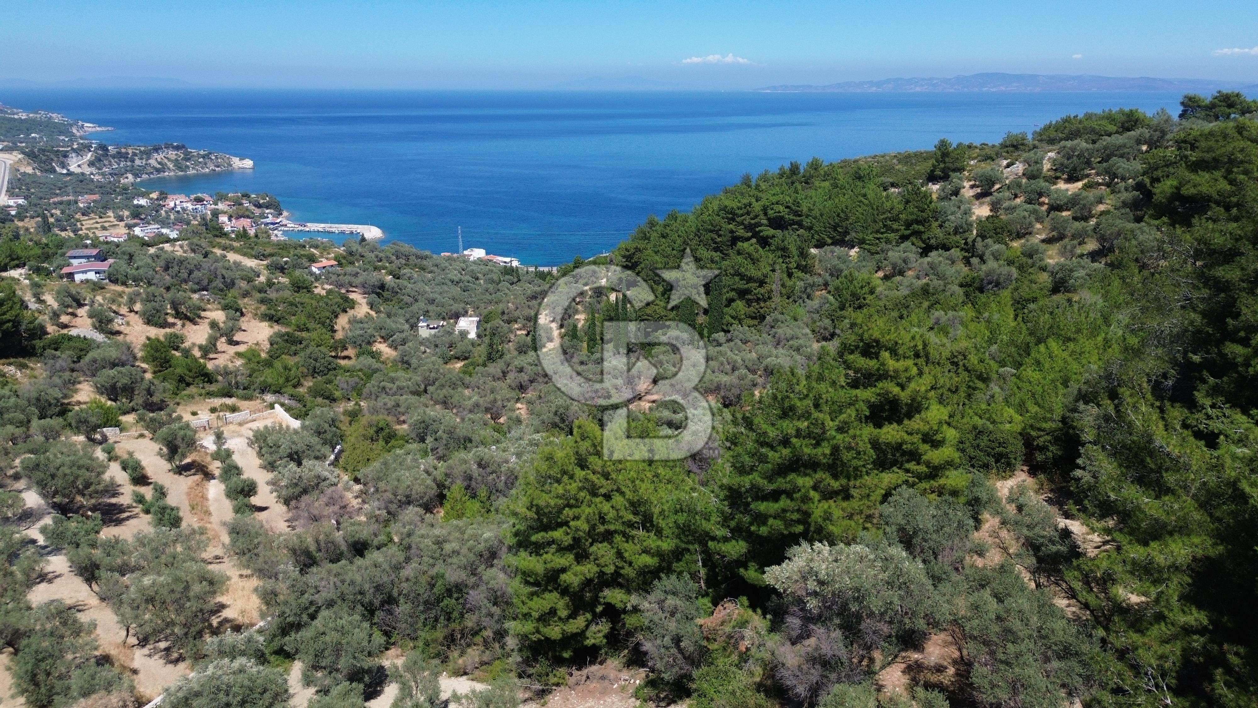 KARABURUN İNECİK'TE YEŞİLİN VE MAVİNİN BULUŞTUĞU BİR YAŞAM ALANI