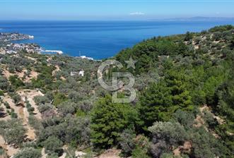 KARABURUN İNECİK'TE YEŞİLİN VE MAVİNİN BULUŞTUĞU BİR YAŞAM ALANI - 1 - 367652