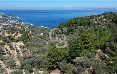 KARABURUN İNECİK'TE YEŞİLİN VE MAVİNİN BULUŞTUĞU BİR YAŞAM ALANI