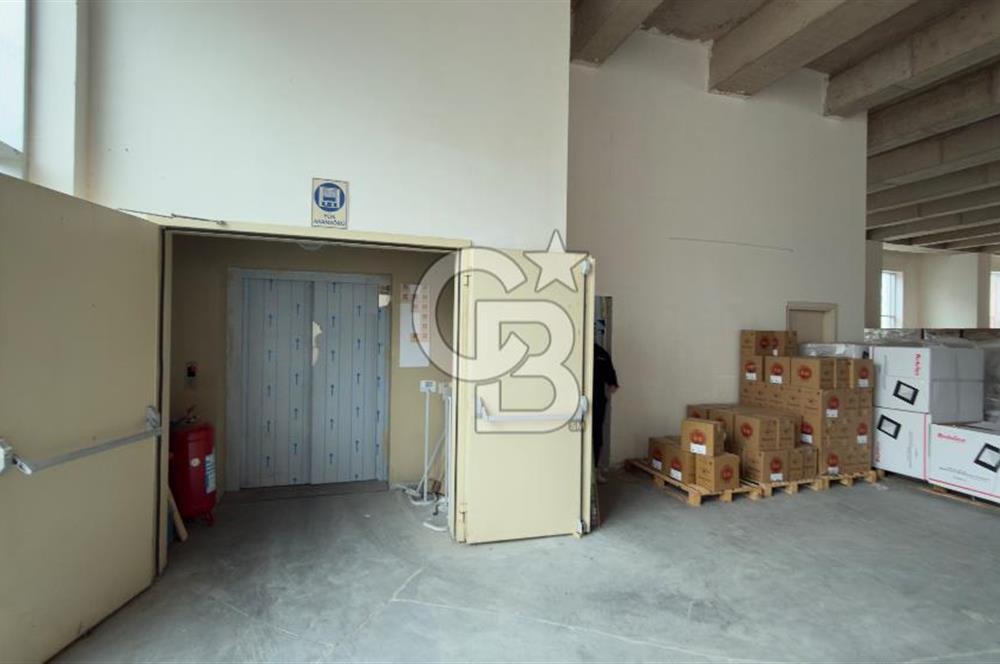 1.200 M2 H:5 M KİRALIK TİCARİ DEPO + OFİS