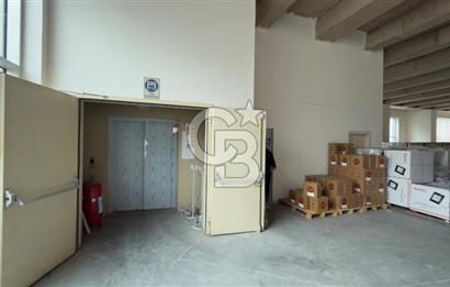 1.200 M2 H:5 M KİRALIK TİCARİ DEPO + OFİS