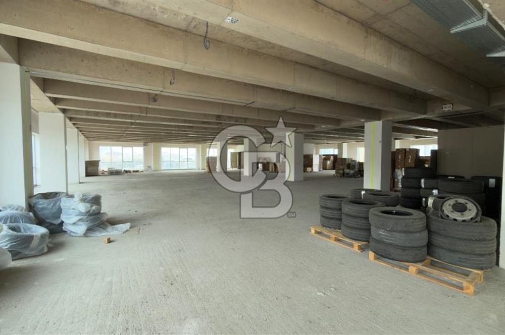 1.000 M2 KDV'Lİ KİRALIK İSKANLI PLAZA KATI