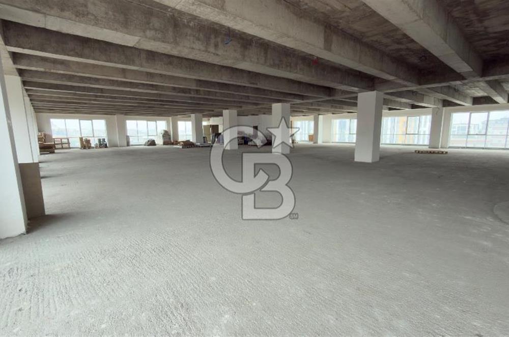 1.000 M2 KDV'Lİ KİRALIK İSKANLI PLAZA KATI