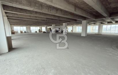 1.000 M2 KDV'Lİ KİRALIK İSKANLI PLAZA KATI