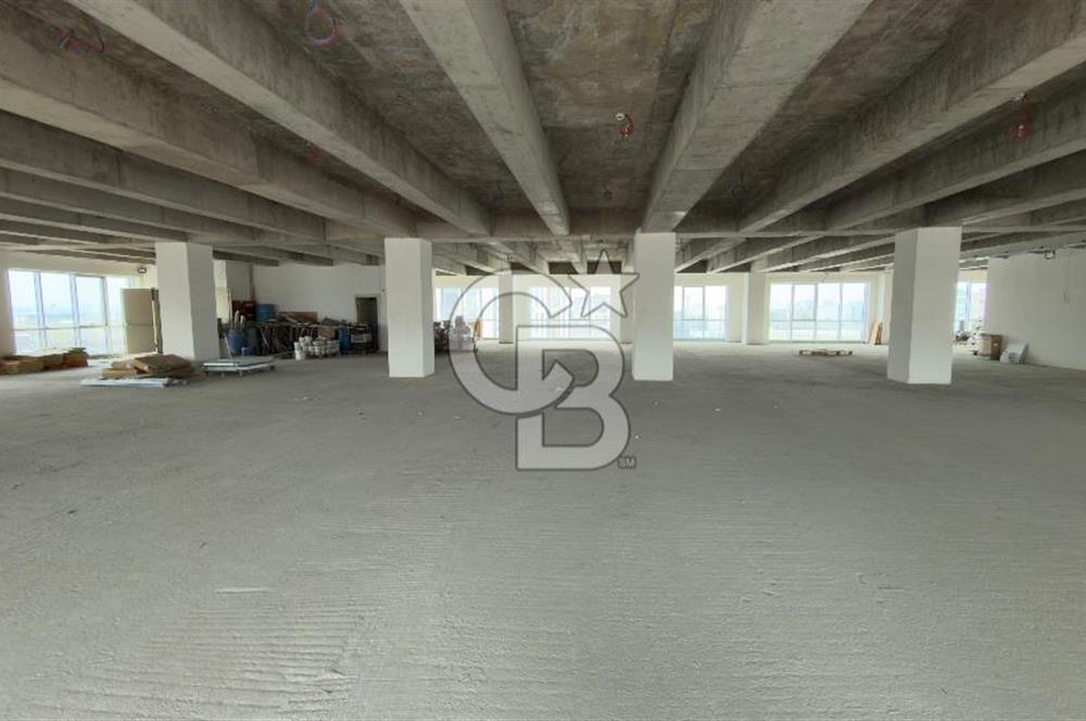1.000 M2 KDV'Lİ KİRALIK İSKANLI PLAZA KATI