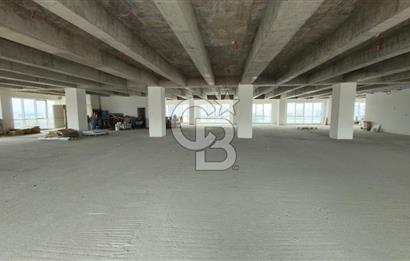 1.000 M2 KDV'Lİ KİRALIK İSKANLI PLAZA KATI