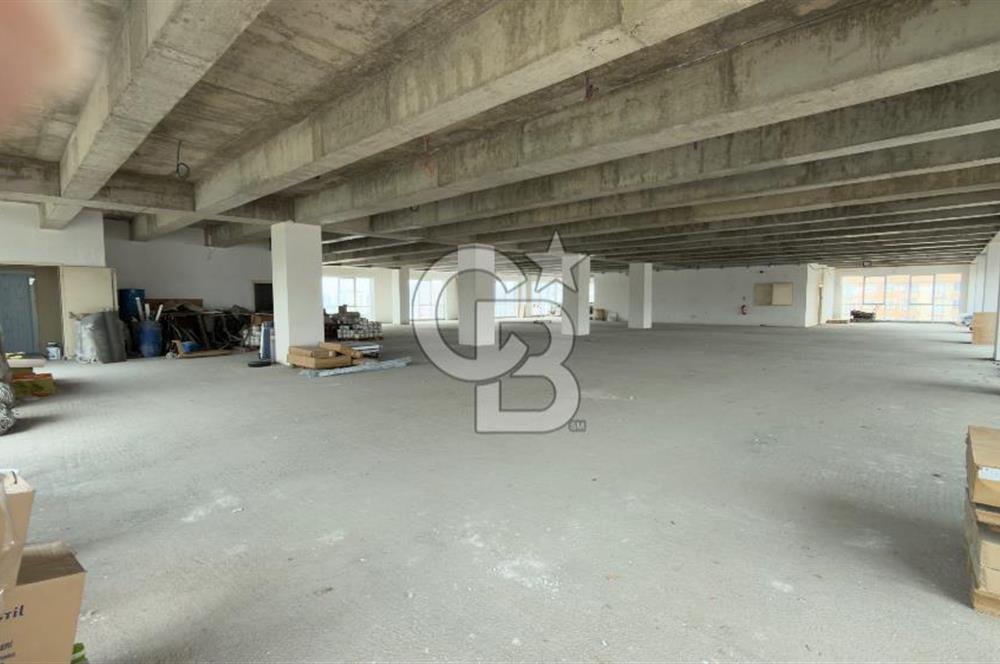1.000 M2 KDV'Lİ KİRALIK İSKANLI PLAZA KATI
