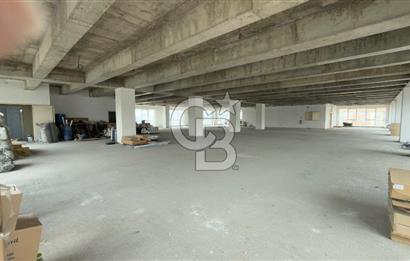 1.000 M2 KDV'Lİ KİRALIK İSKANLI PLAZA KATI