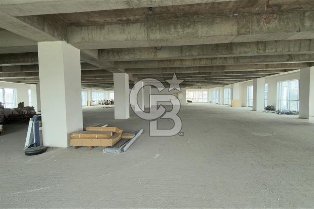 1.000 M2 KDV'Lİ KİRALIK İSKANLI PLAZA KATI