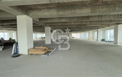 1.000 M2 KDV'Lİ KİRALIK İSKANLI PLAZA KATI