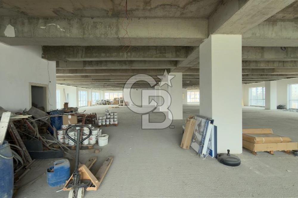 1.000 M2 KDV'Lİ KİRALIK İSKANLI PLAZA KATI