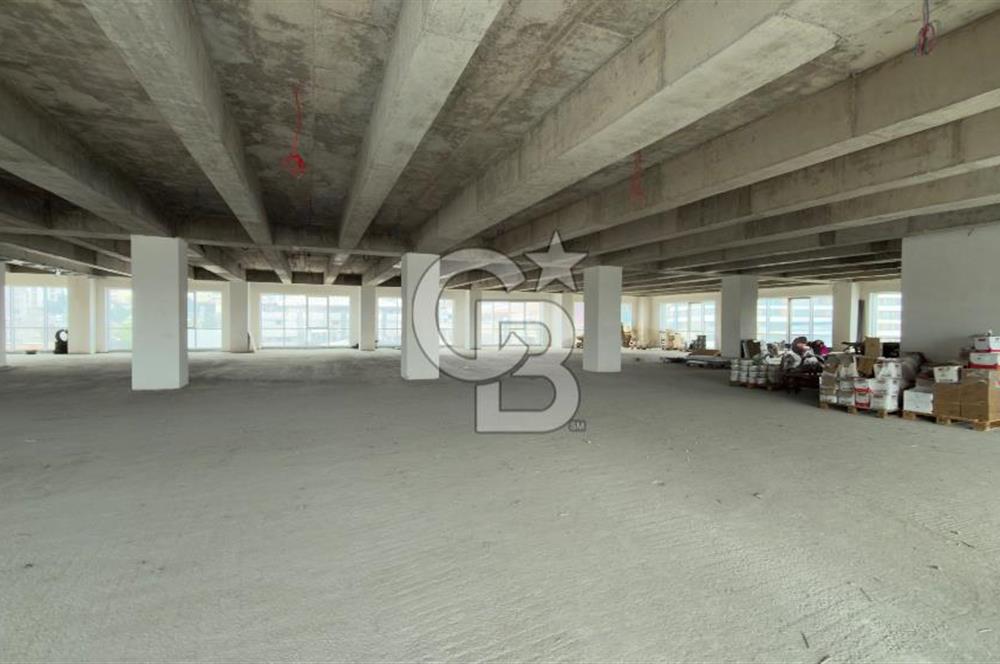 1.000 M2 KDV'Lİ KİRALIK İSKANLI PLAZA KATI
