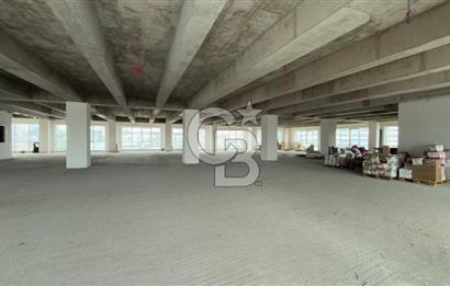 1.000 M2 KDV'Lİ KİRALIK İSKANLI PLAZA KATI