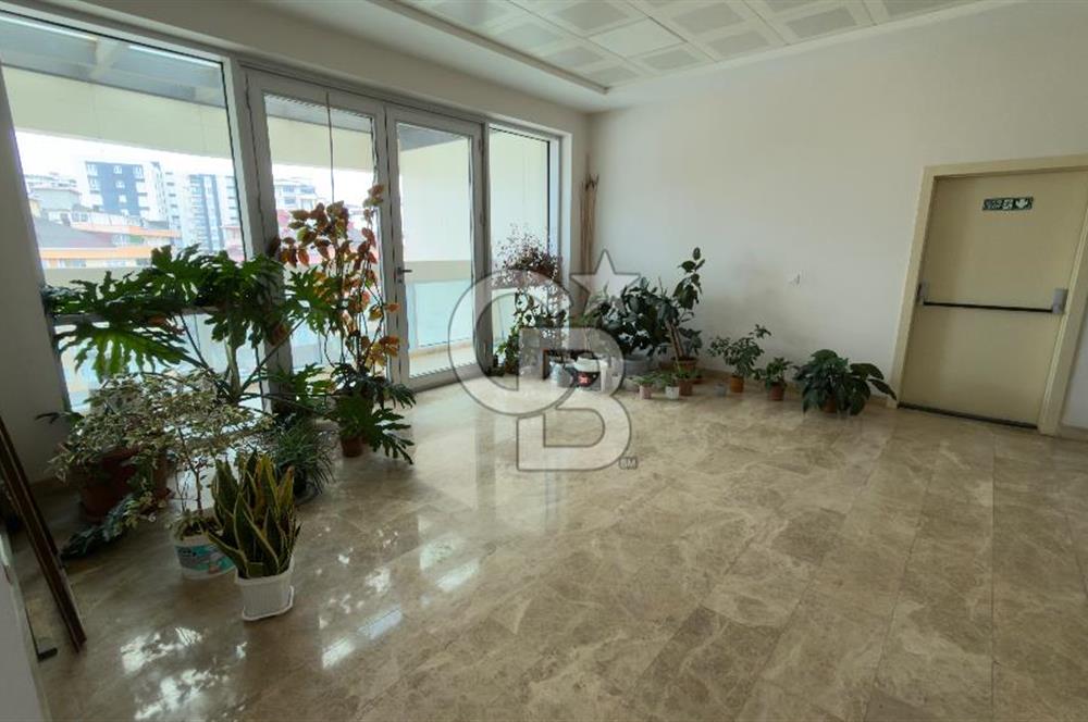 1.000 M2 KDV'Lİ KİRALIK İSKANLI PLAZA KATI