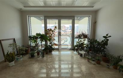 1.000 M2 KDV'Lİ KİRALIK İSKANLI PLAZA KATI