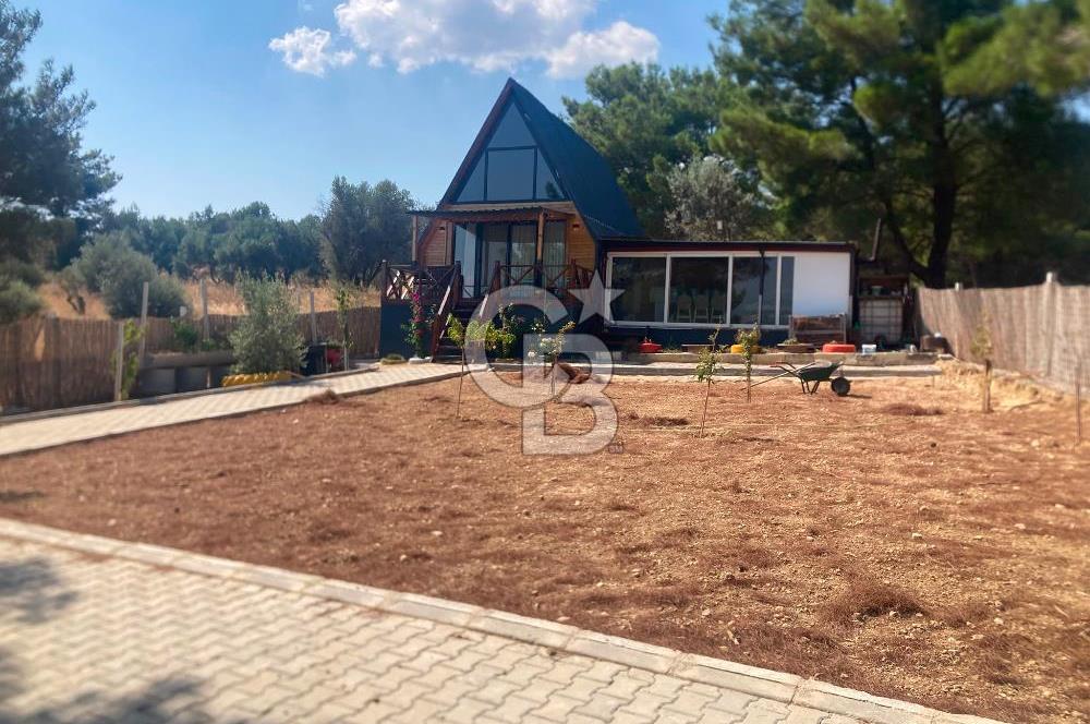 Kemalpaşa Çambel Mevki Zeytinlik-Hisseli ve Bungalov Ev