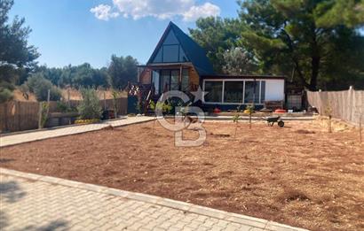 Kemalpaşa Çambel Mevki Zeytinlik-Hisseli ve Bungalov Ev