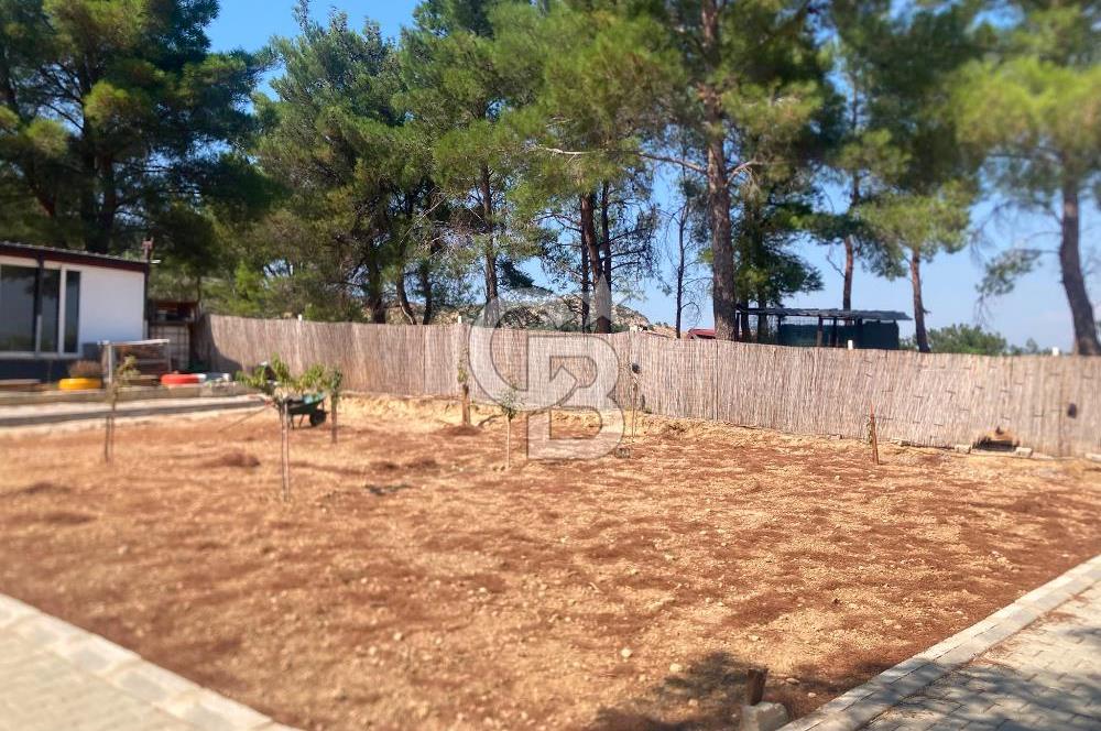 Kemalpaşa Çambel Mevki Zeytinlik-Hisseli ve Bungalov Ev