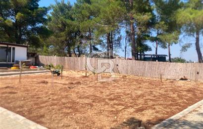 Kemalpaşa Çambel Mevki Zeytinlik-Hisseli ve Bungalov Ev