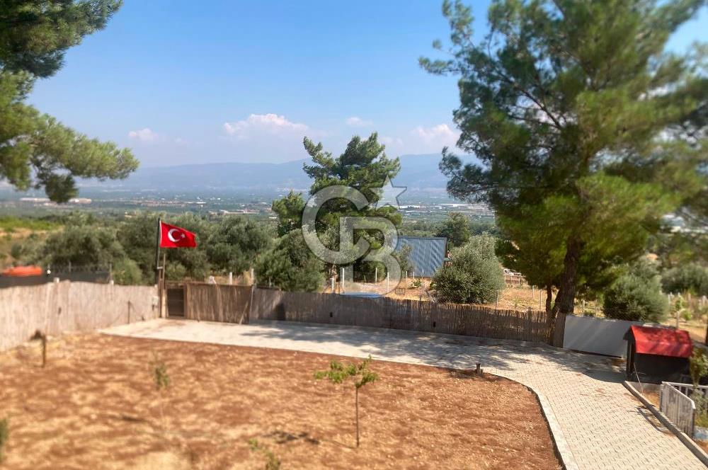 Kemalpaşa Çambel Mevki Zeytinlik-Hisseli ve Bungalov Ev